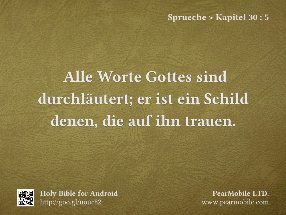 Sprueche, Kapitel 30:5